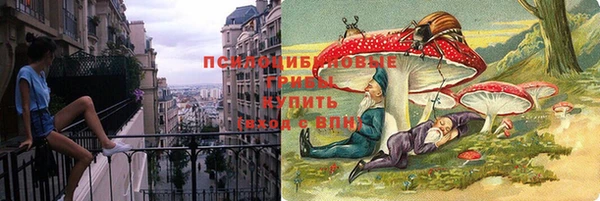 гашик Белоозёрский