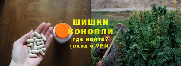 гашик Белоозёрский