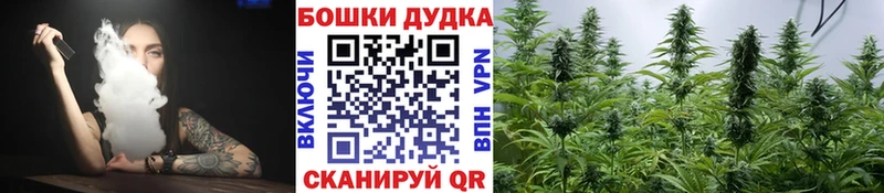 где купить наркоту Чадан блэк спрут ТОР Бошки Шишки VHQ